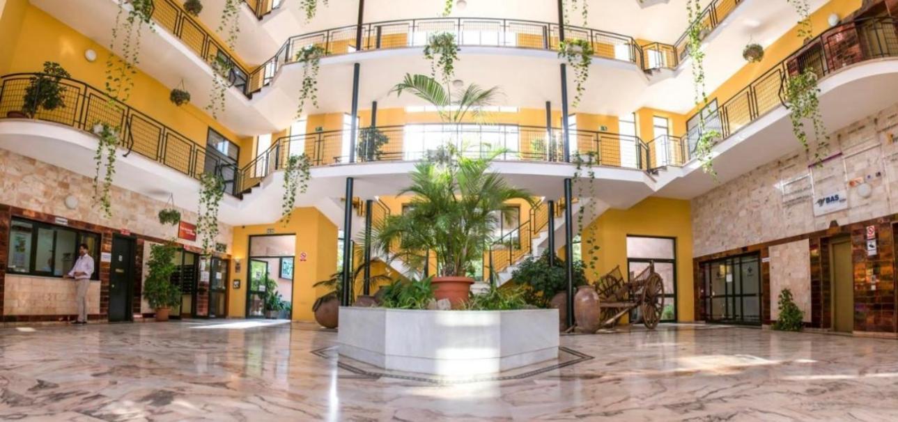 Apartamento Cerca Del Aereopuerto 塞维利亚 外观 照片